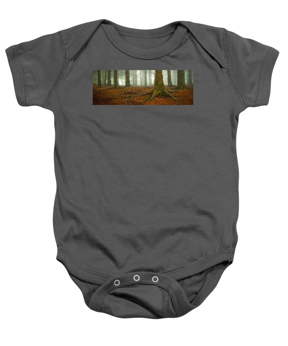Autumn Baby Onesie featuring the photograph Rooted-Pano by Joye Ardyn Durham