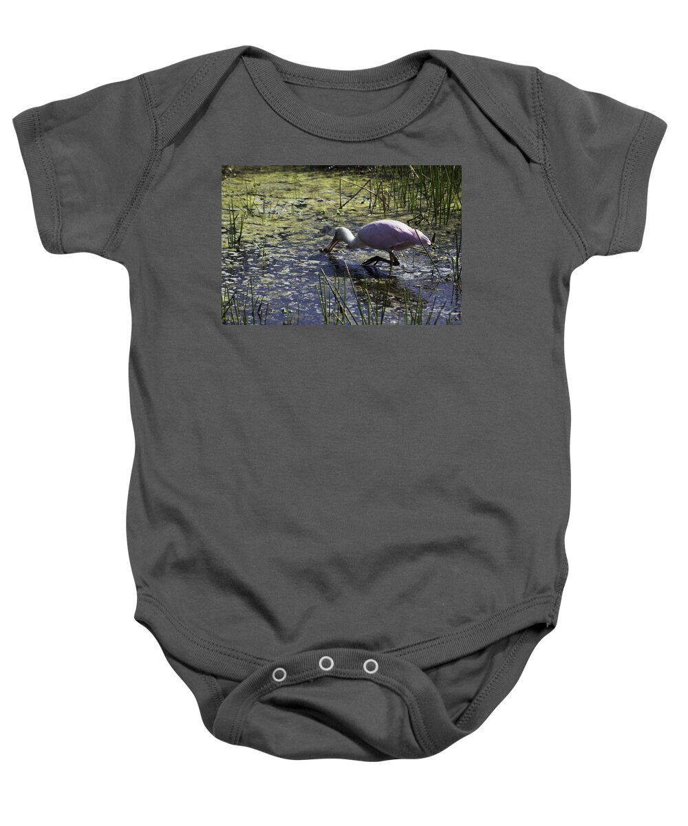 susan Molnar Baby Onesie featuring the photograph Roseate Spoonbill IX by Susan Molnar