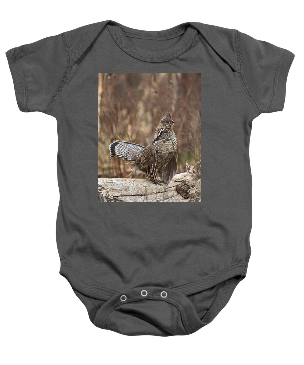 Ruffled Baby Onesie featuring the photograph Ruffled Grouse drumming 2 by Gary Langley