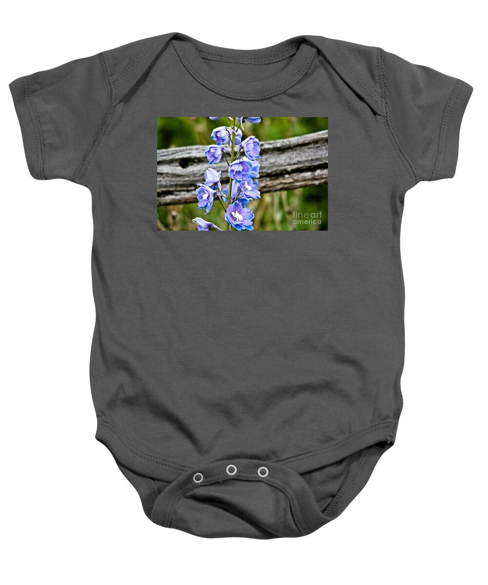  Baby Onesie featuring the photograph Rustic Delphinium by Cheryl Baxter