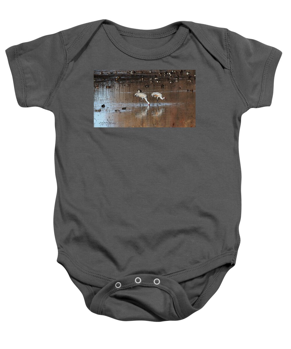 Sand Hill Cranes Dining At The Bosque Del Apache Baby Onesie featuring the photograph Sand Hill Cranes Dining At The Bosque Del Apache by Tom Janca