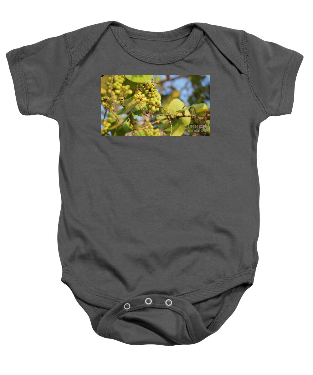 Sea Grapes Baby Onesie featuring the photograph Sea Grapes by Lilliana Mendez