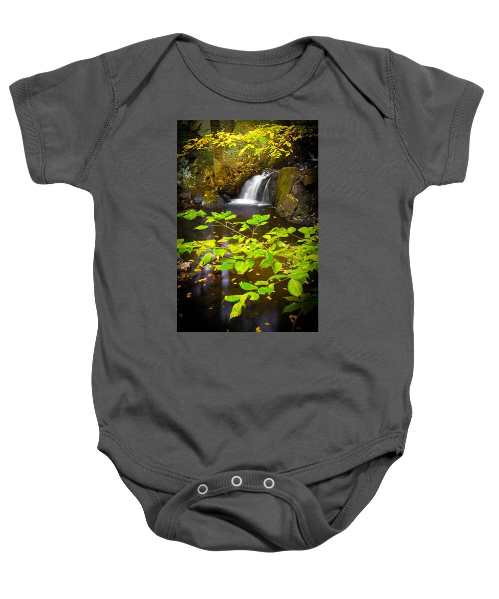 Leaves Baby Onesie featuring the photograph Silent Brook by Mark Rogers