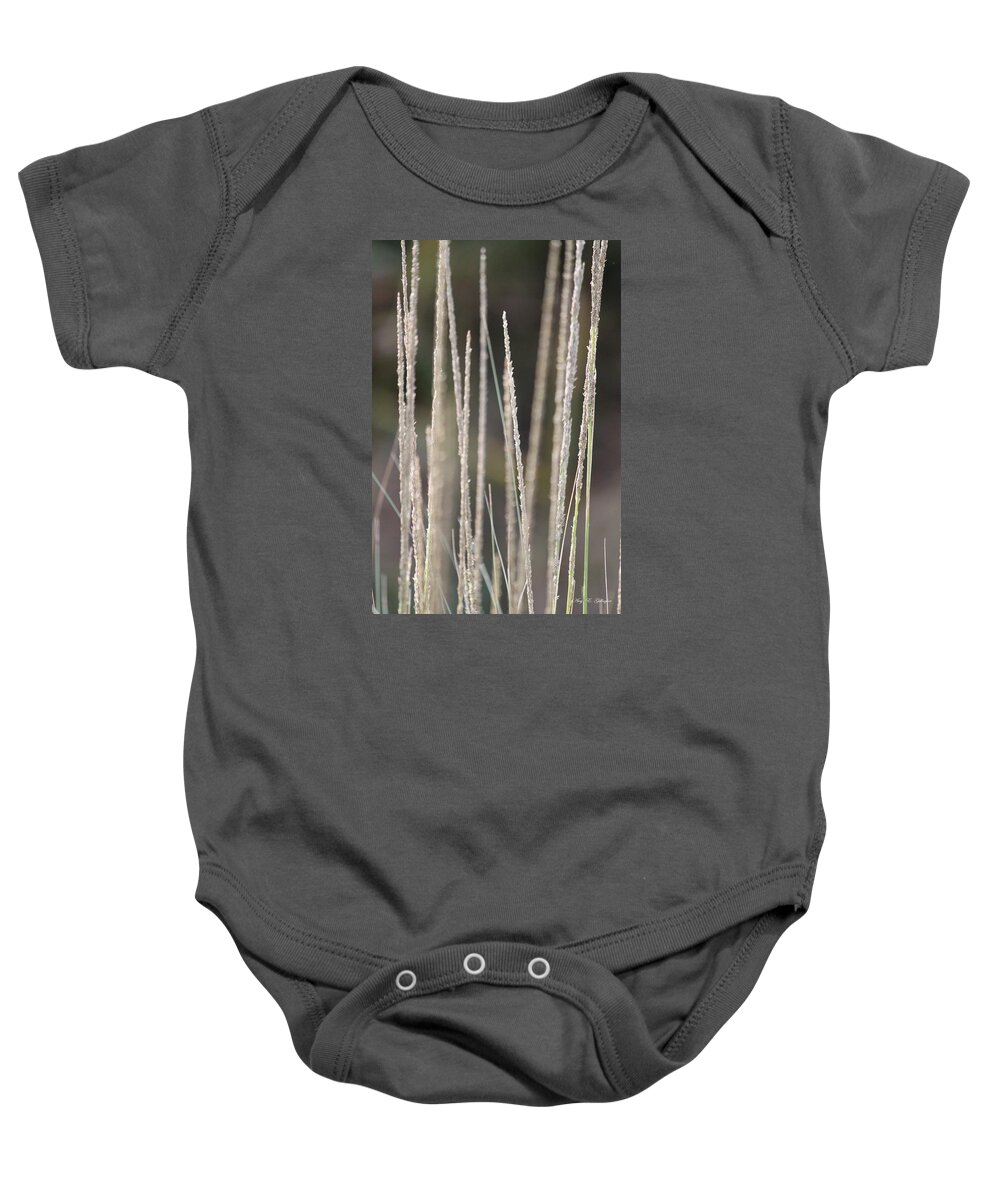 Tall Grass Baby Onesie featuring the photograph Simply Pure by Amy Gallagher