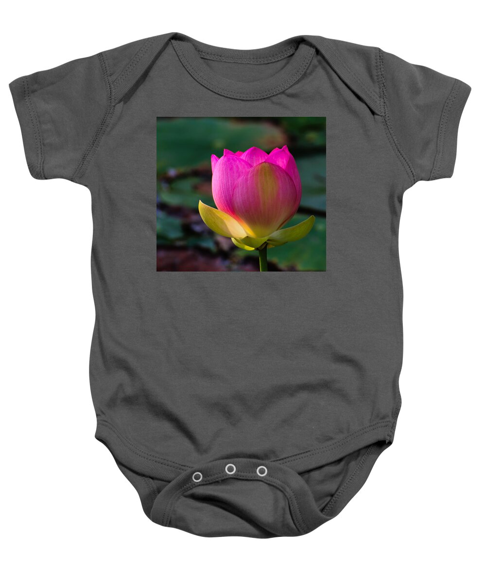 Water Lily Baby Onesie featuring the photograph Single blossum by John Johnson