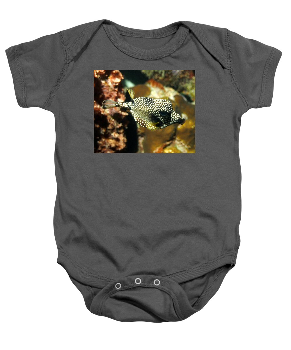 Nature Baby Onesie featuring the photograph Smooth Trunkfish by Amy McDaniel