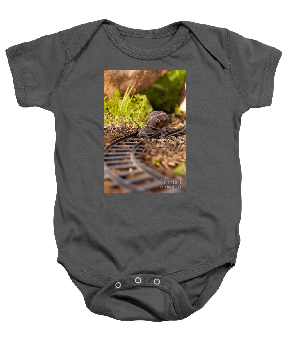 Slowness Baby Onesie featuring the photograph Snail on train tracks by Guy Viner