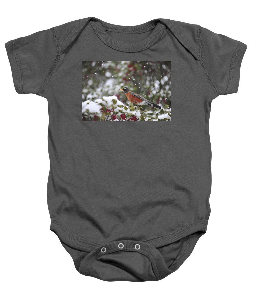 Snow Baby Onesie featuring the photograph Snow Bird by Terry DeLuco