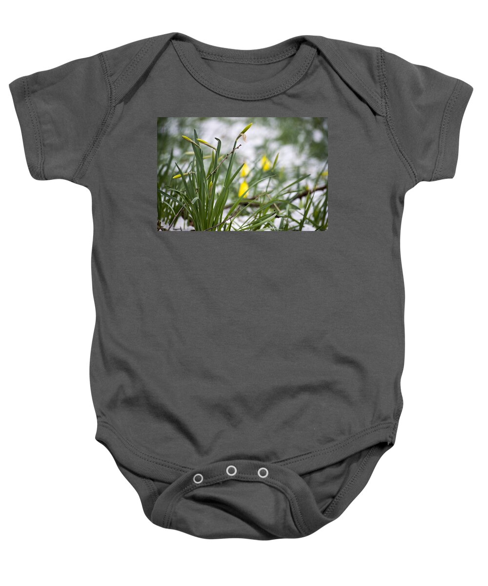 Daffodils Baby Onesie featuring the photograph Snowy Daffodils by Spikey Mouse Photography