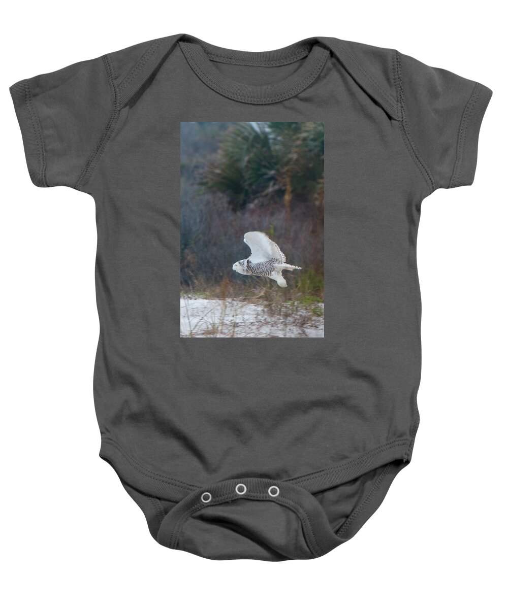 Snowy Owl Baby Onesie featuring the photograph Snowy Owl In Florida 11 by David Beebe