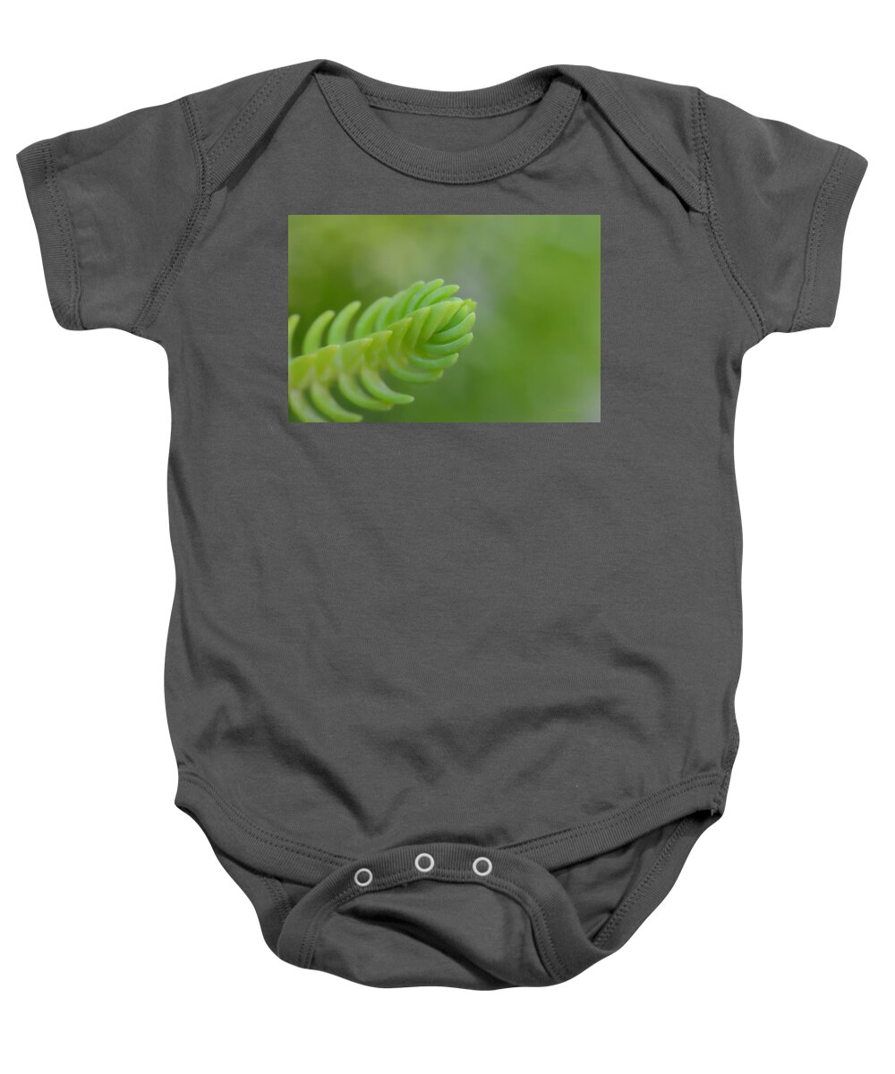 Botanical Baby Onesie featuring the photograph Softness Of Green by Donna Blackhall