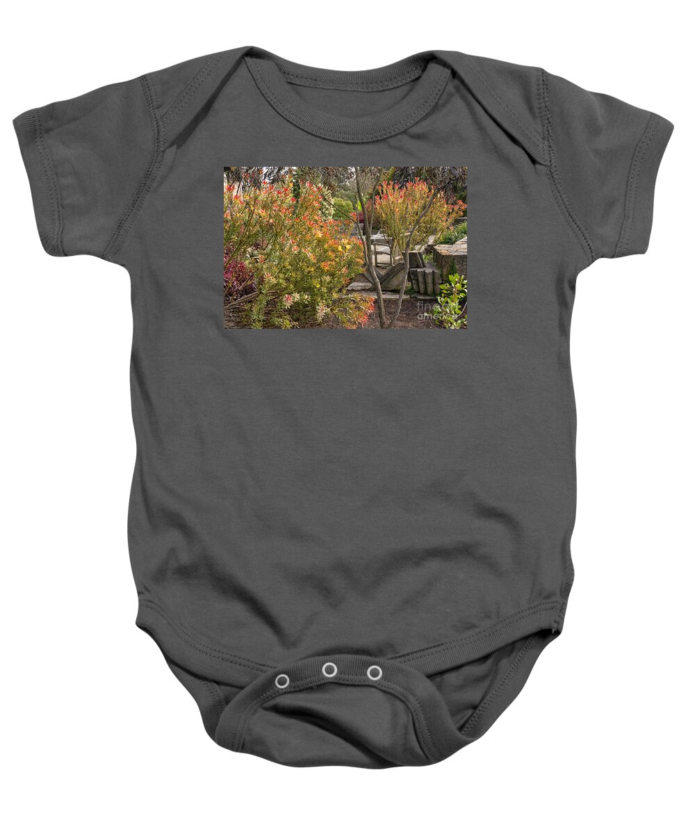 Bench Baby Onesie featuring the photograph Solitude Series Garden Flowers by Kate Brown