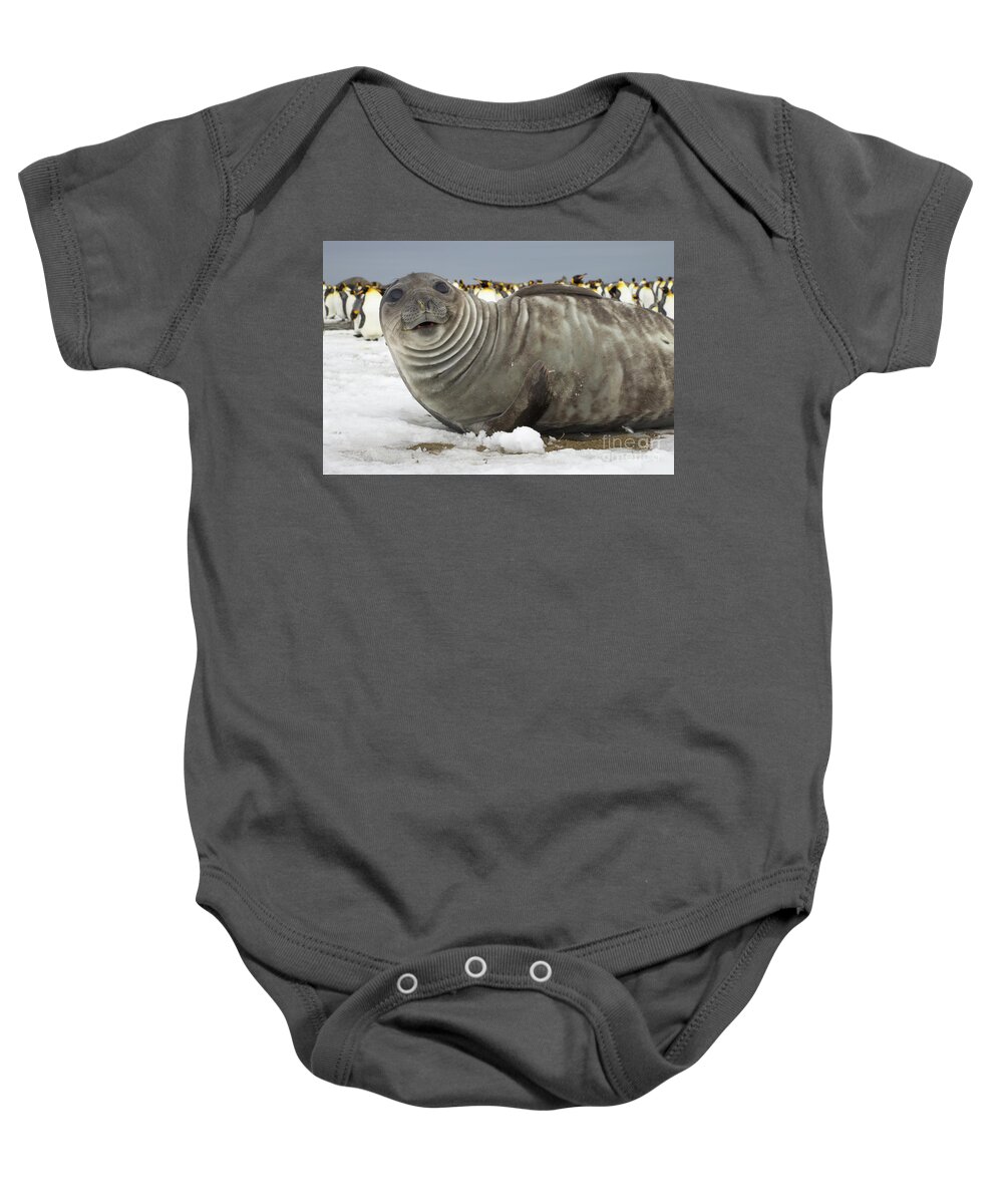00345927 Baby Onesie featuring the photograph Southern Elephant Seal Weaner by Yva Momatiuk John Eastcott