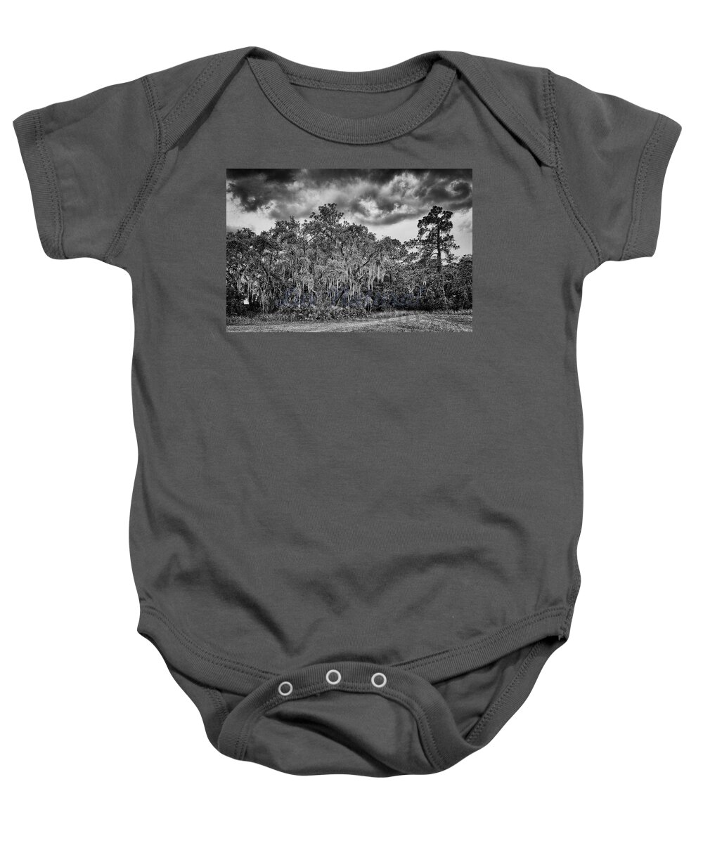 Electric Thunderstorms Baby Onesie featuring the photograph Spanish Moss and Clouds study by Silvio Ligutti
