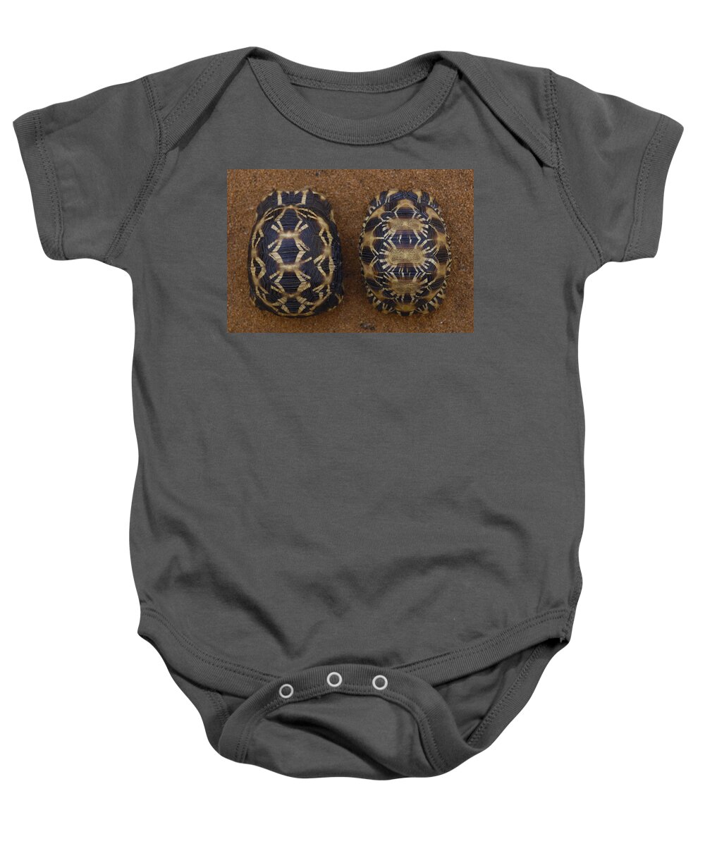 Feb0514 Baby Onesie featuring the photograph Spider Tortoisel Radiated Tortoise R by Pete Oxford