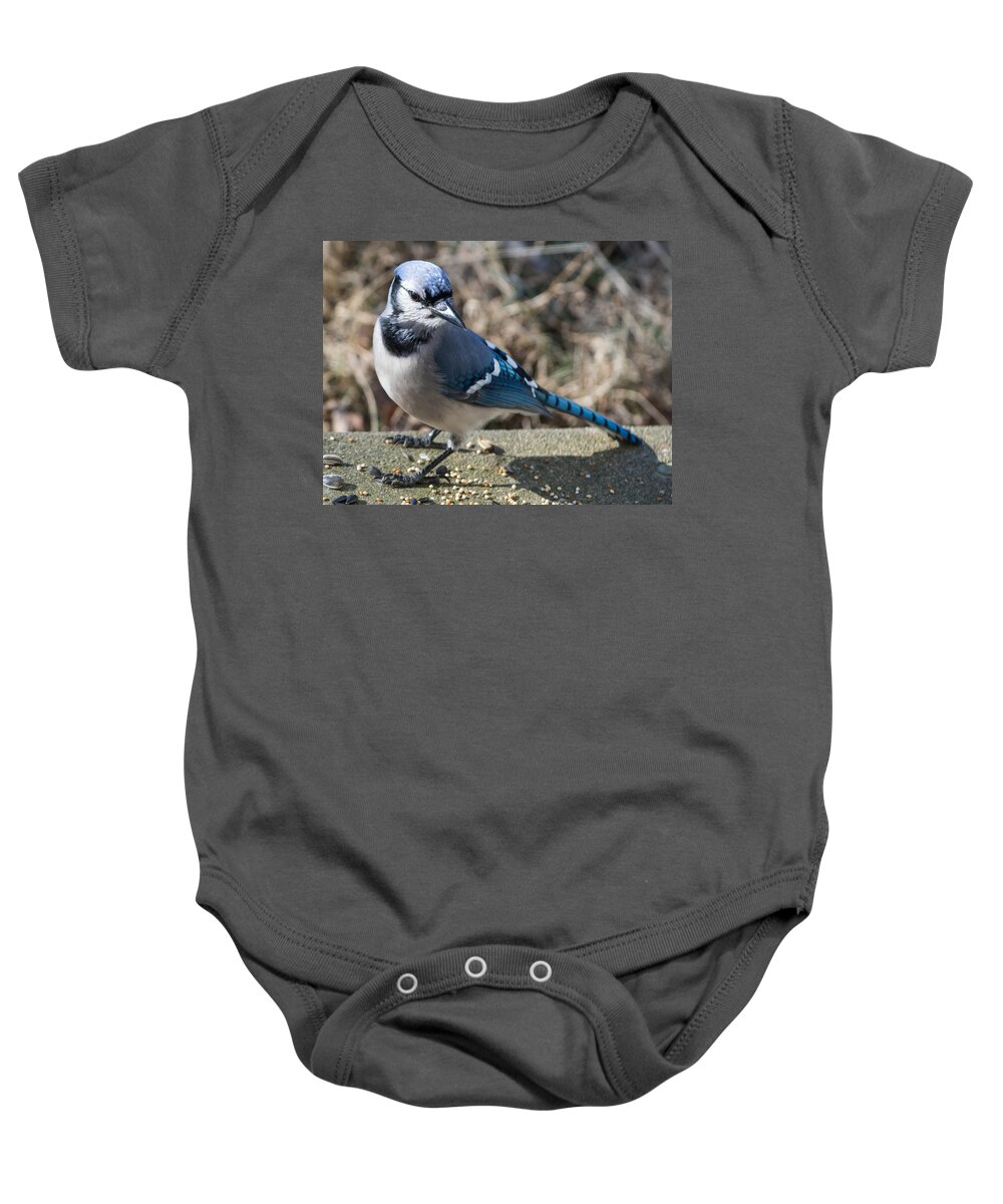 Blue Jays Baby Onesie featuring the photograph Strike a Pose by Holden The Moment