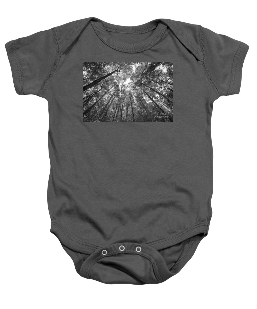 Standing Among Giants Baby Onesie featuring the photograph Standing Among Giants BW by Michael Ver Sprill