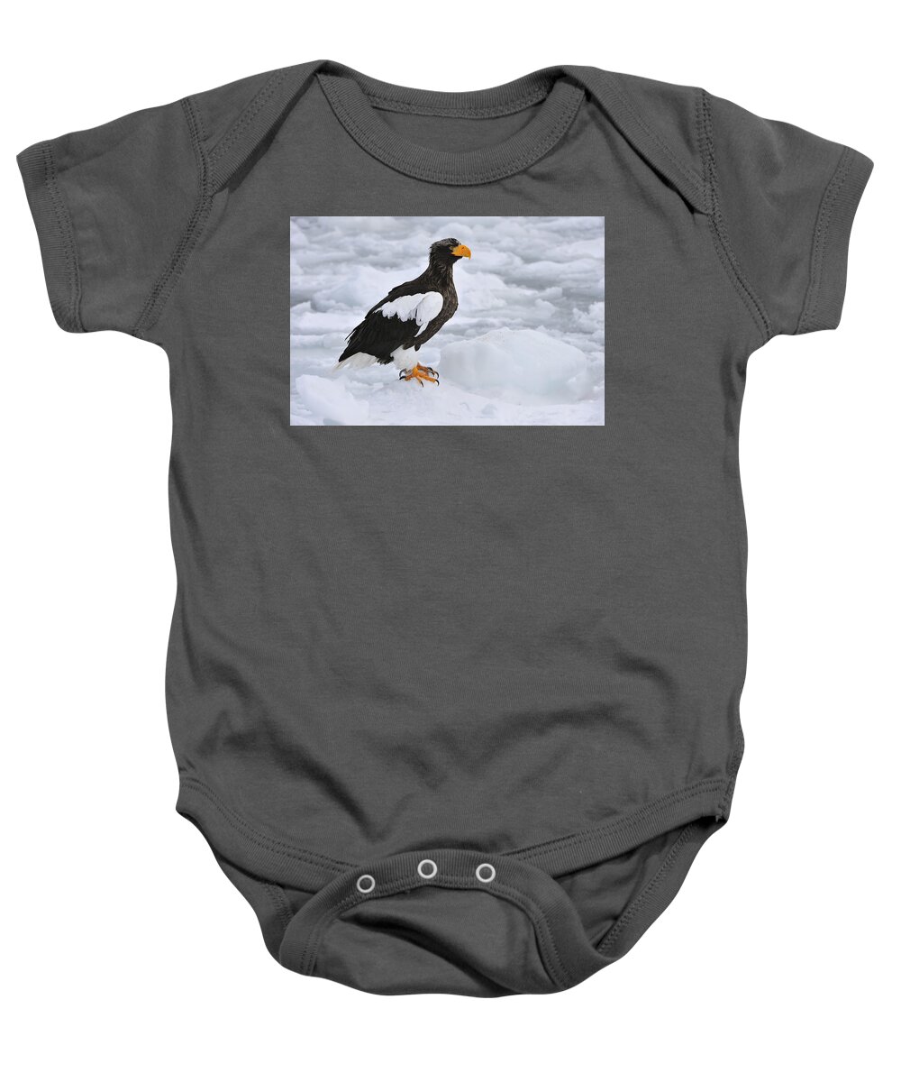 Thomas Marent Baby Onesie featuring the photograph Stellers Sea Eagle Hokkaido Japan by Thomas Marent
