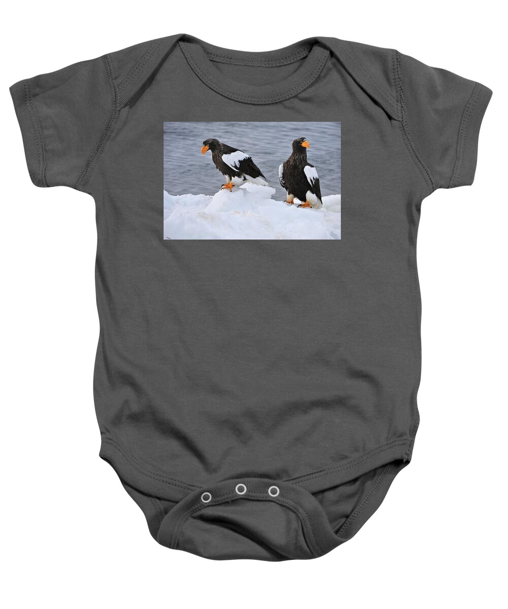 Thomas Marent Baby Onesie featuring the photograph Stellers Sea Eagles On Ice Hokkaido by Thomas Marent