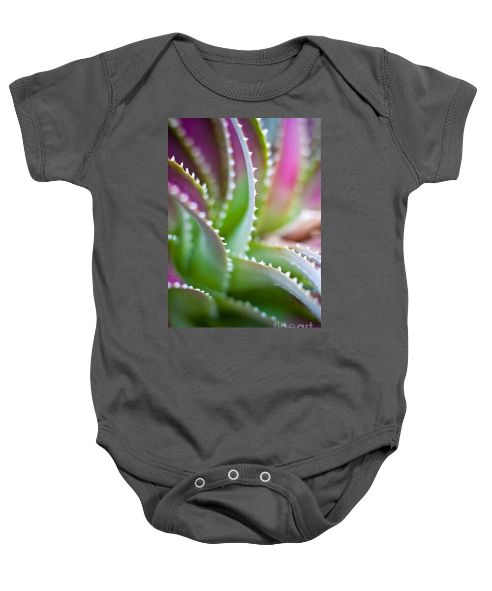 Succulent Baby Onesie featuring the photograph Succulent Swirls by Mike Reid