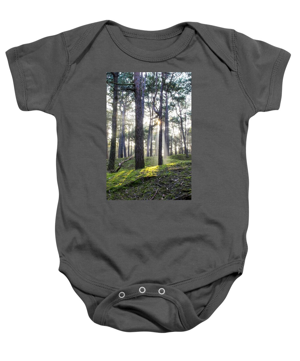 Trees Baby Onesie featuring the photograph Sunlit Trees by Spikey Mouse Photography