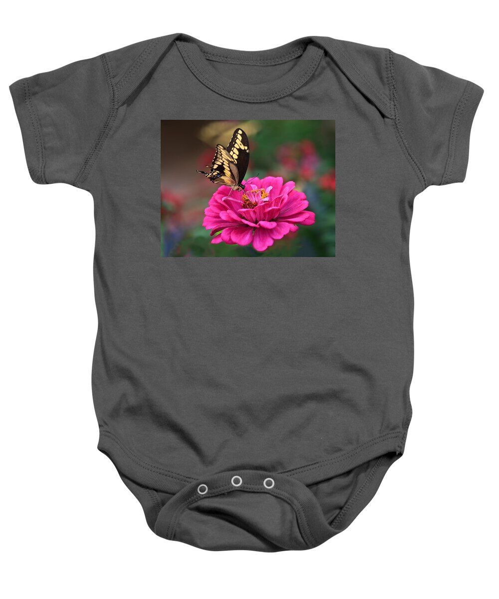 Swallowtail Baby Onesie featuring the photograph Swallowtail Butterfly by Beth Sargent