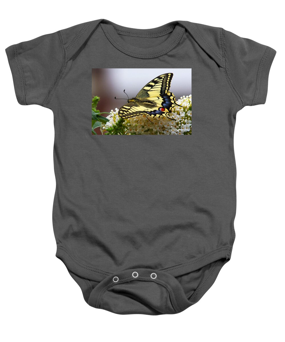 Swallowtail Baby Onesie featuring the photograph Swallowtail butterfly by Nick Biemans