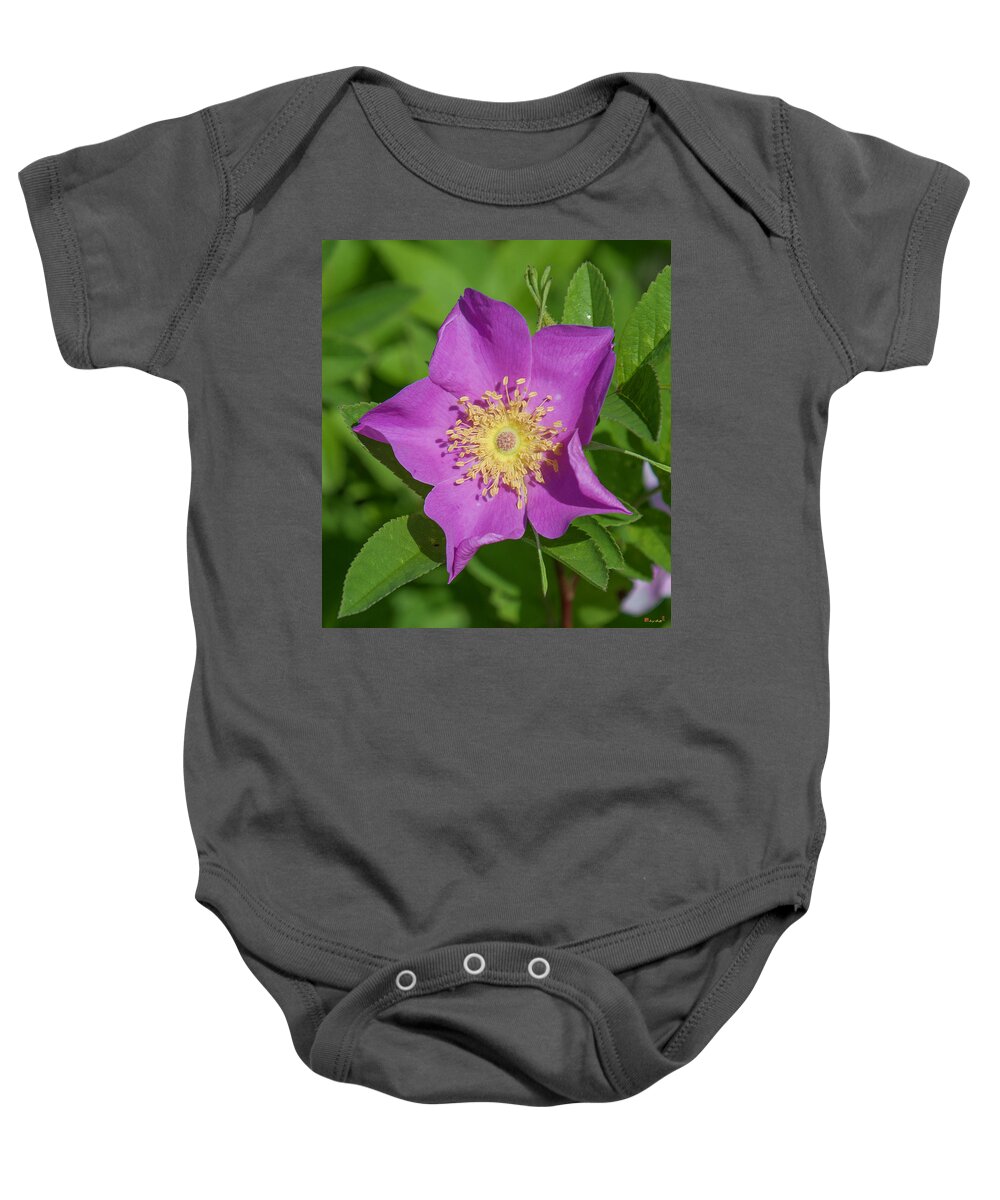 Marsh Baby Onesie featuring the photograph Swamp Rose Just Opening DSMF219 by Gerry Gantt