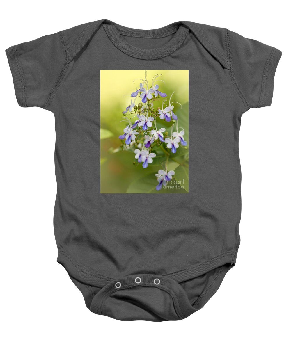 Amazing Baby Onesie featuring the photograph Sweet Butterfly Flowers by Sabrina L Ryan