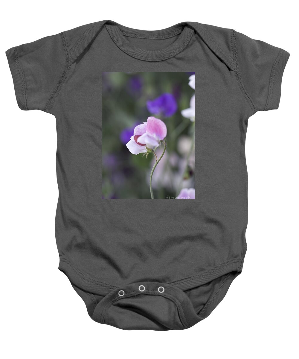 Pellirojos Writing Baby Onesie featuring the photograph Sweet Pea Single by Donna L Munro
