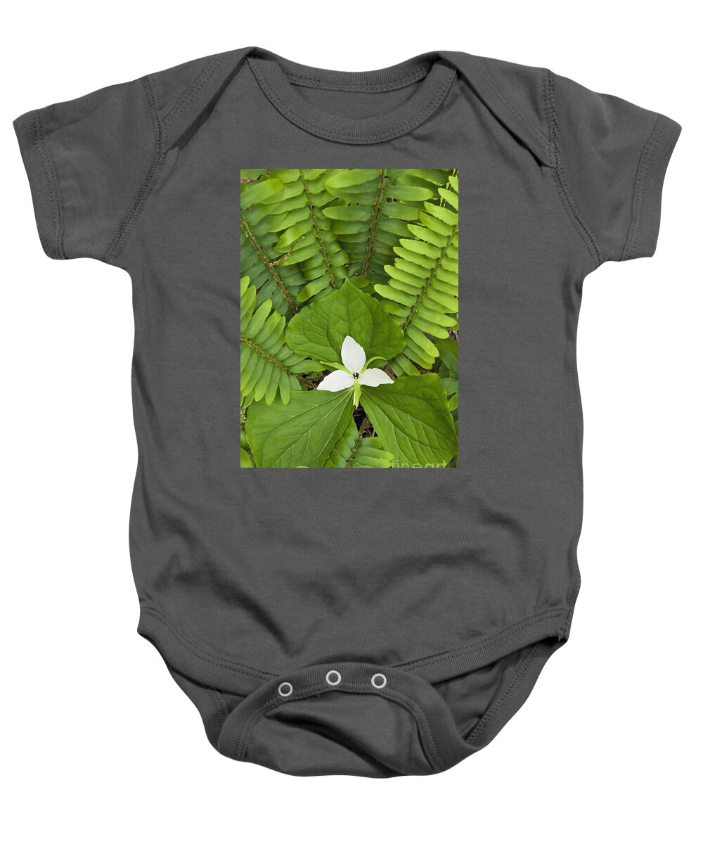Sweet Baby Onesie featuring the photograph Sweet White Trillium - D008728 by Daniel Dempster