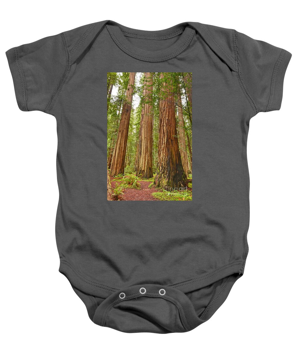 Redwoods Baby Onesie featuring the photograph The beautiful and massive giant redwoods Sequoia sempervirens in Redwood National Park. by Jamie Pham