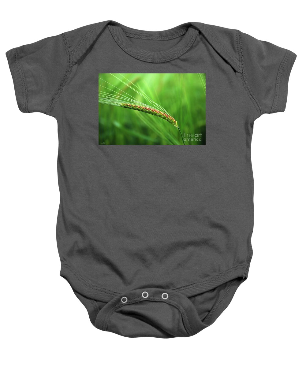 Corn Baby Onesie featuring the photograph The Corn by Hannes Cmarits