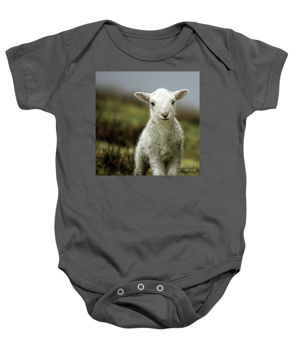 #faatoppicks Baby Onesie featuring the photograph The Lamb by Ang El