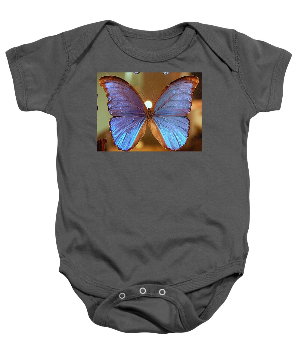 Nola. Baby Onesie featuring the photograph New Orleans The Light Upon A Blue Morpho Butterfly In Louisiana by Michael Hoard