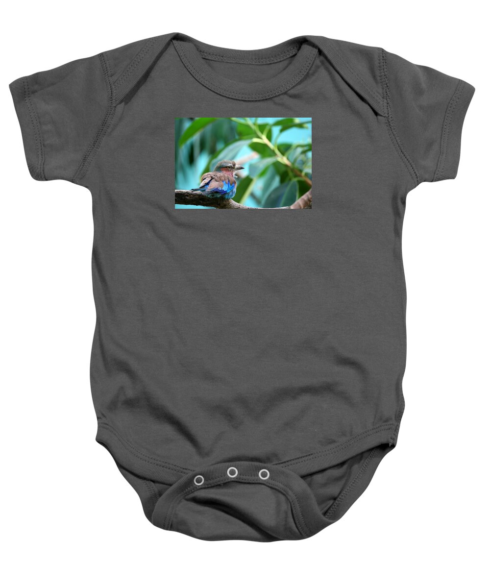 Lilac Breased Roller Baby Onesie featuring the photograph The Lilac Breasted Roller by Karol Livote