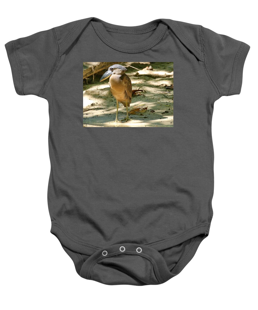 Boat Billed Baby Onesie featuring the photograph The nose by BYET Photography