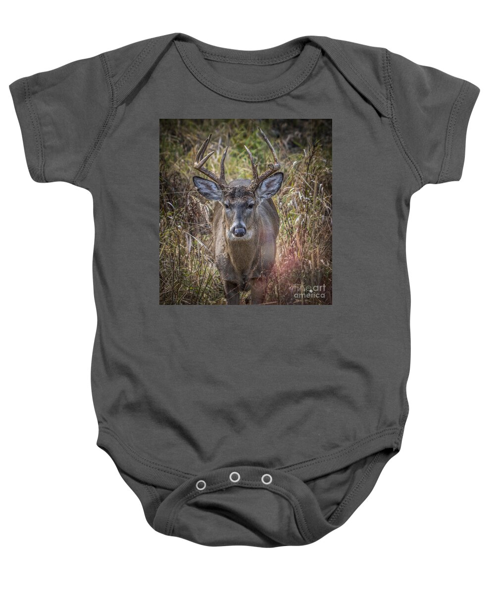 Deer Baby Onesie featuring the photograph The One You Look For by Ronald Grogan