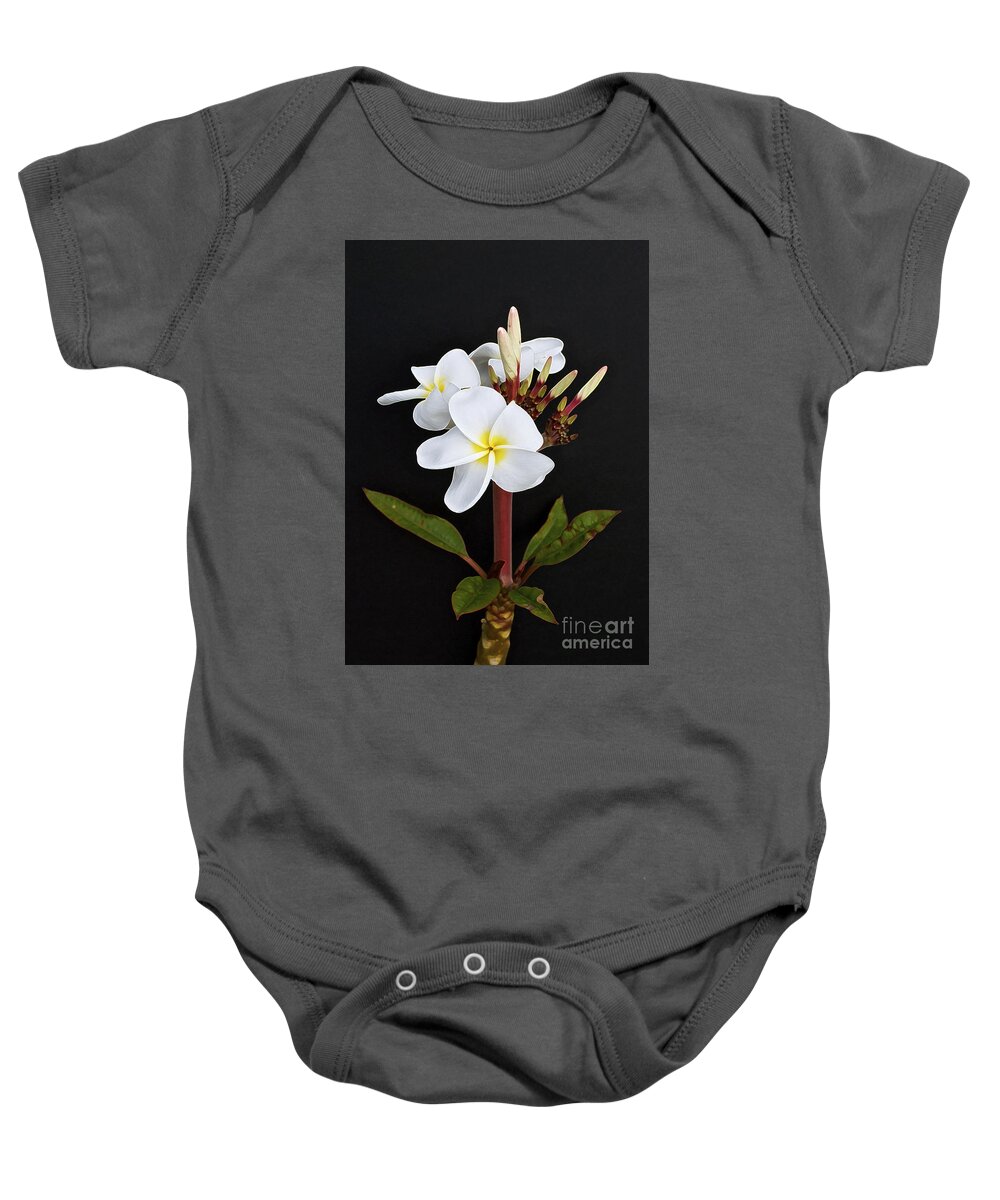 Plumeria Baby Onesie featuring the photograph The Plumeria by Gwyn Newcombe