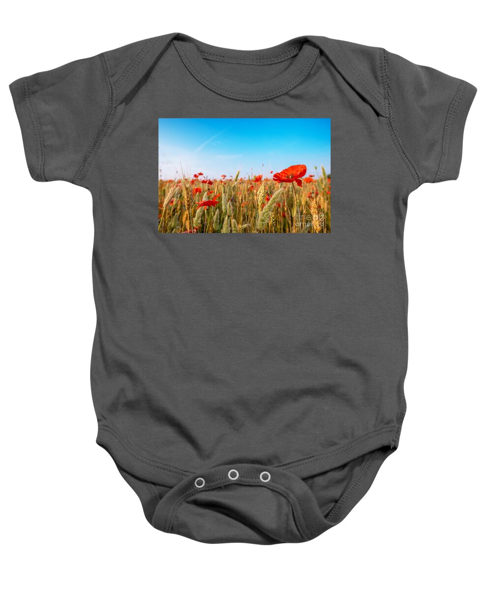Agriculture Baby Onesie featuring the photograph Summer poetry by Hannes Cmarits