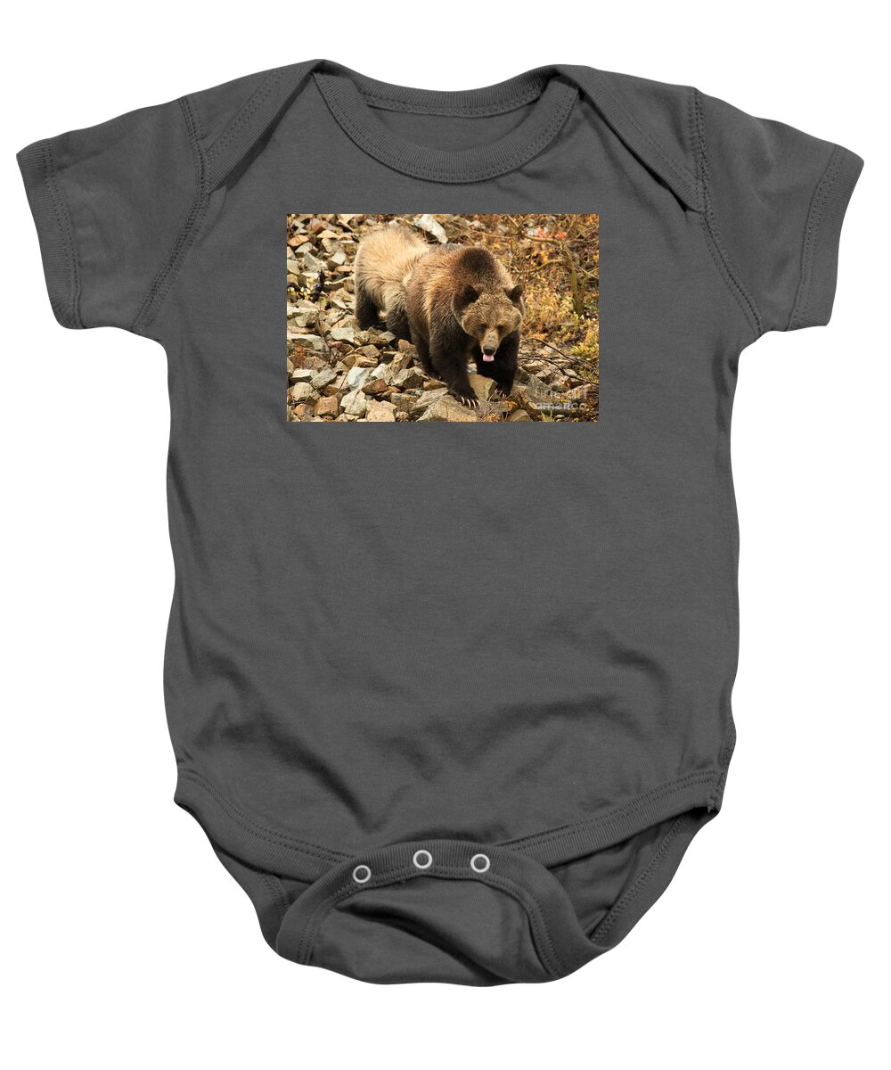 Grizzly Bear Baby Onesie featuring the photograph Thirsty by Adam Jewell