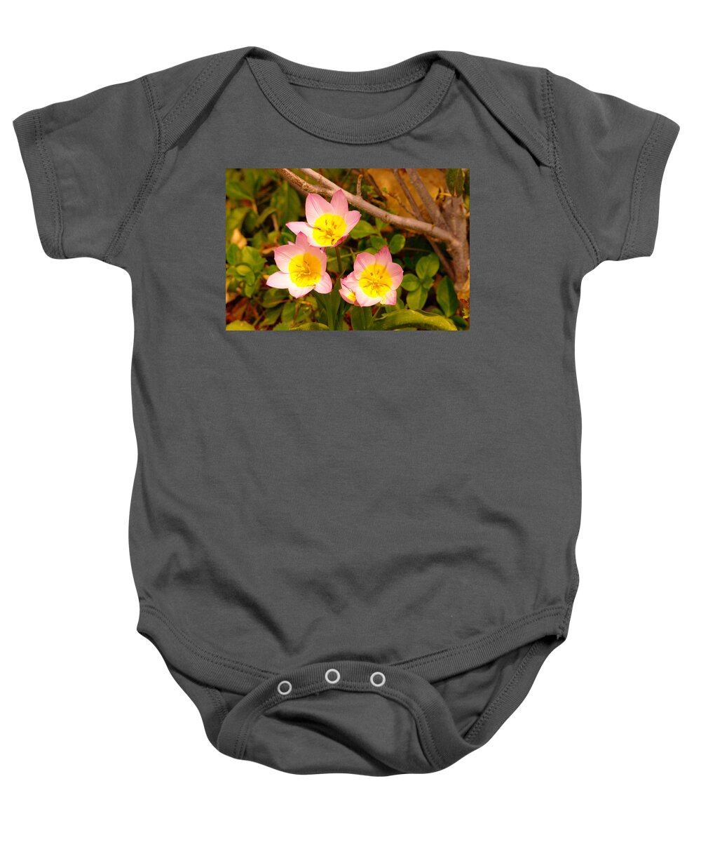 Flowers Baby Onesie featuring the photograph Three Flowers by Jeff Swan