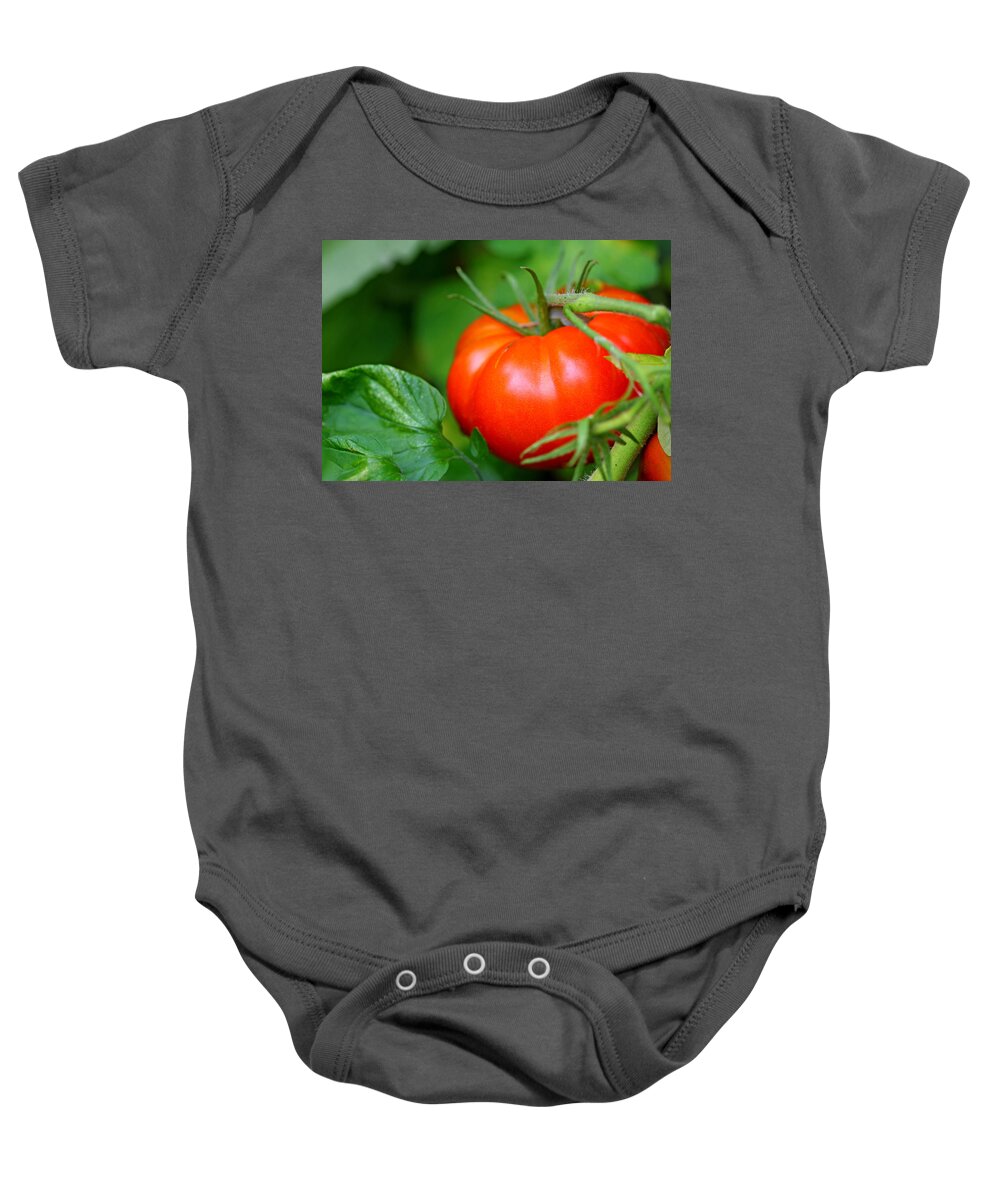 Food Baby Onesie featuring the photograph Tomato On The Vine by Debbie Oppermann