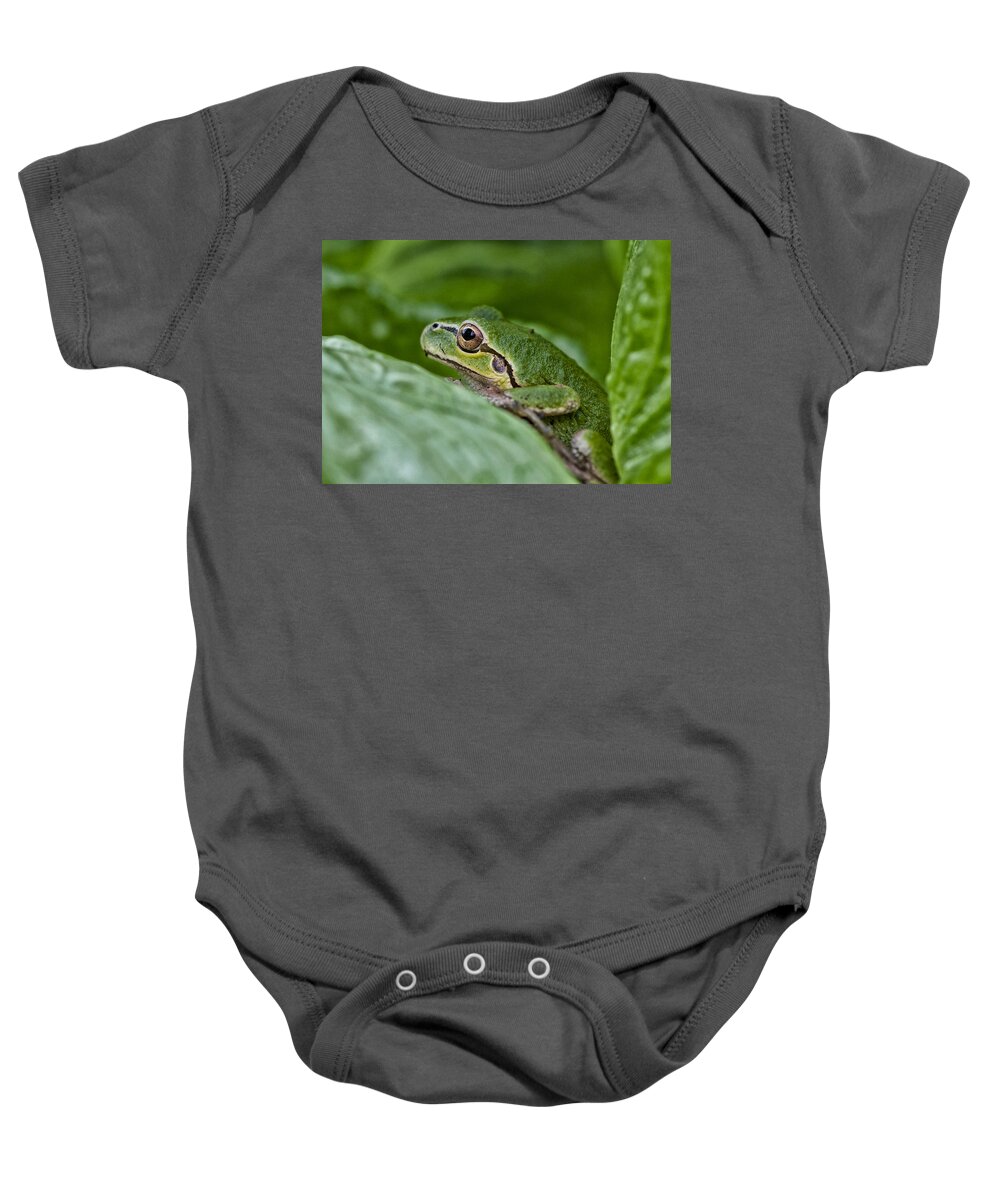 Betty Depee Baby Onesie featuring the photograph Tree Frog by Betty Depee