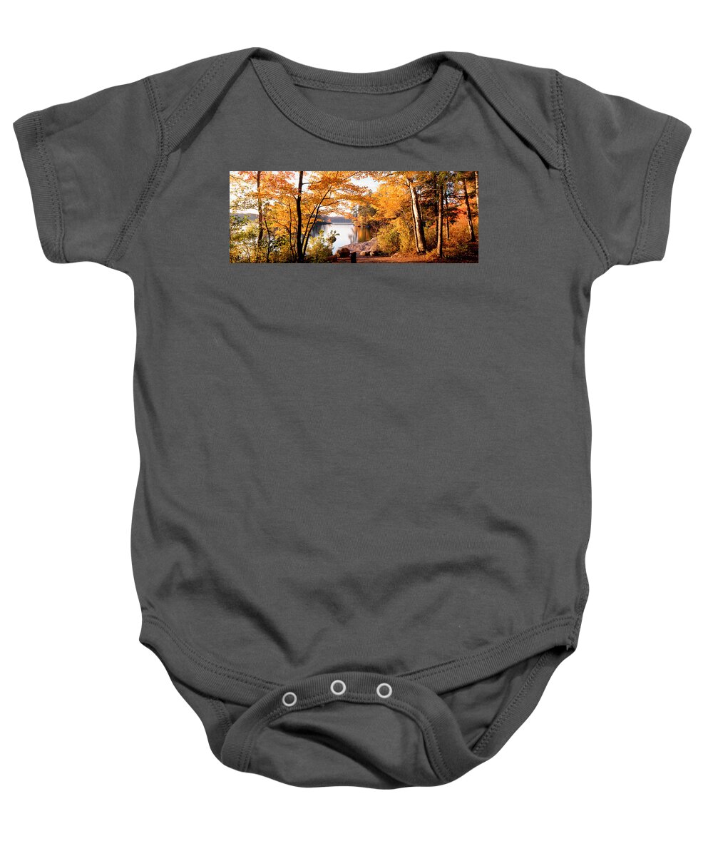 Photography Baby Onesie featuring the photograph Trees At The Lakeside, Great Sacandaga by Panoramic Images