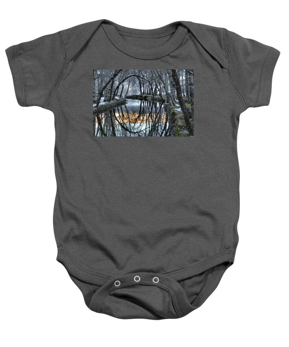 Bare Tree Baby Onesie featuring the photograph Trees Reflect In The Spring Of Zezere by Joel Santos