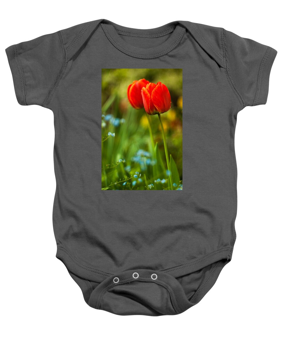Flowers Baby Onesie featuring the photograph Tulips in garden by Davorin Mance