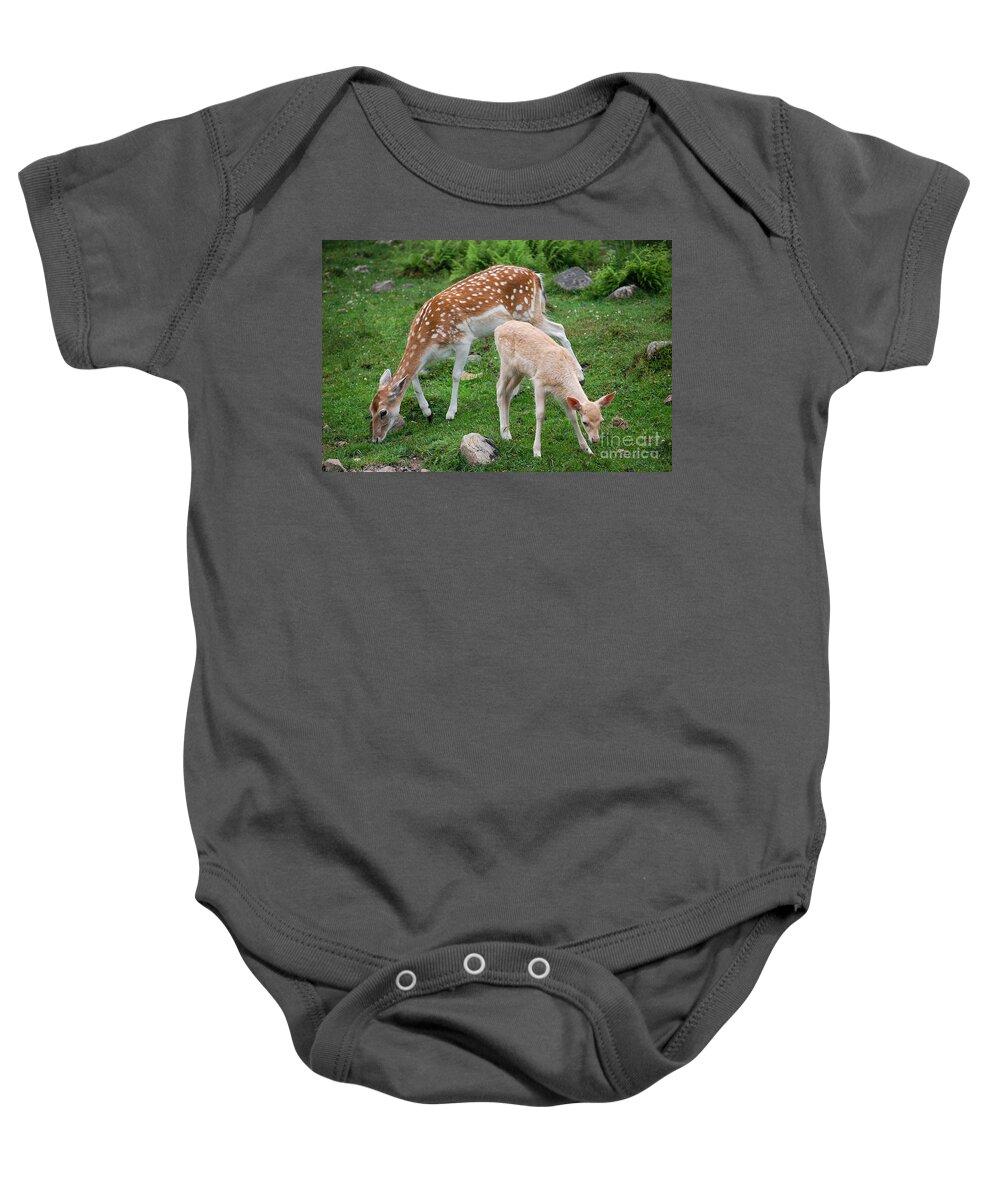 Deer Baby Onesie featuring the photograph Two Babes by Bianca Nadeau
