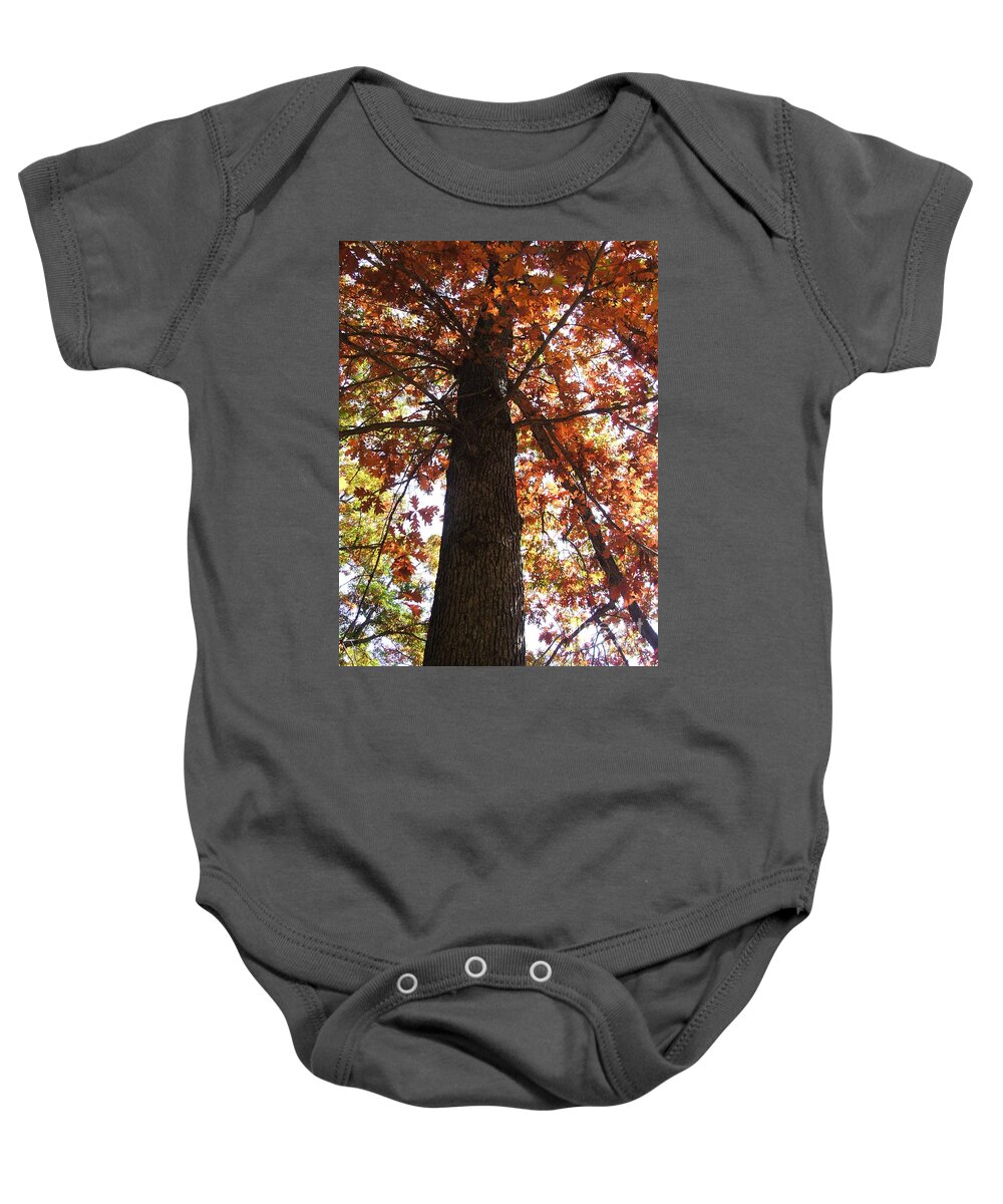 Tree Baby Onesie featuring the photograph Up Fall by Minding My Visions by Adri and Ray
