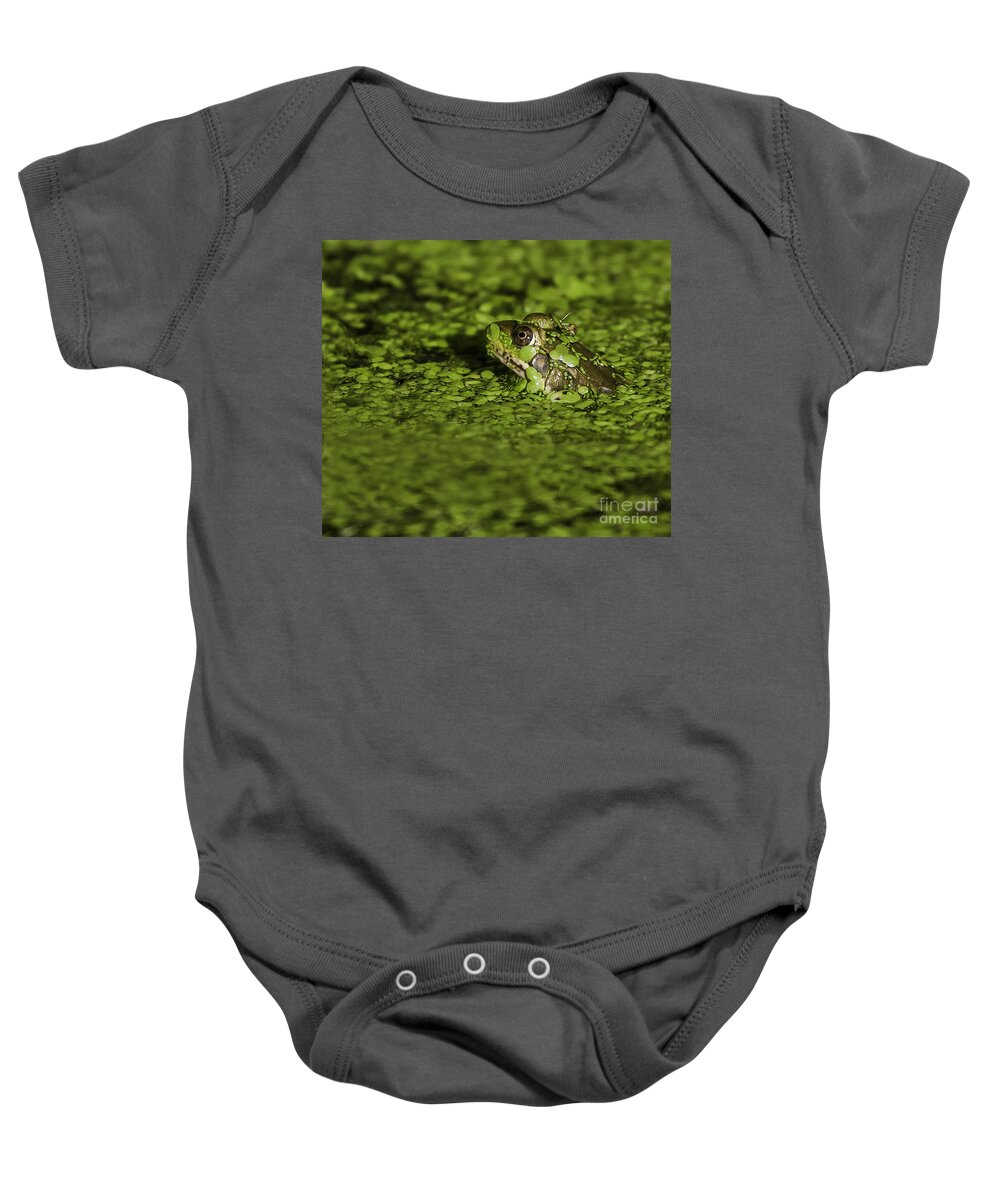 Frog Baby Onesie featuring the photograph Up to my Neck by Jan Killian